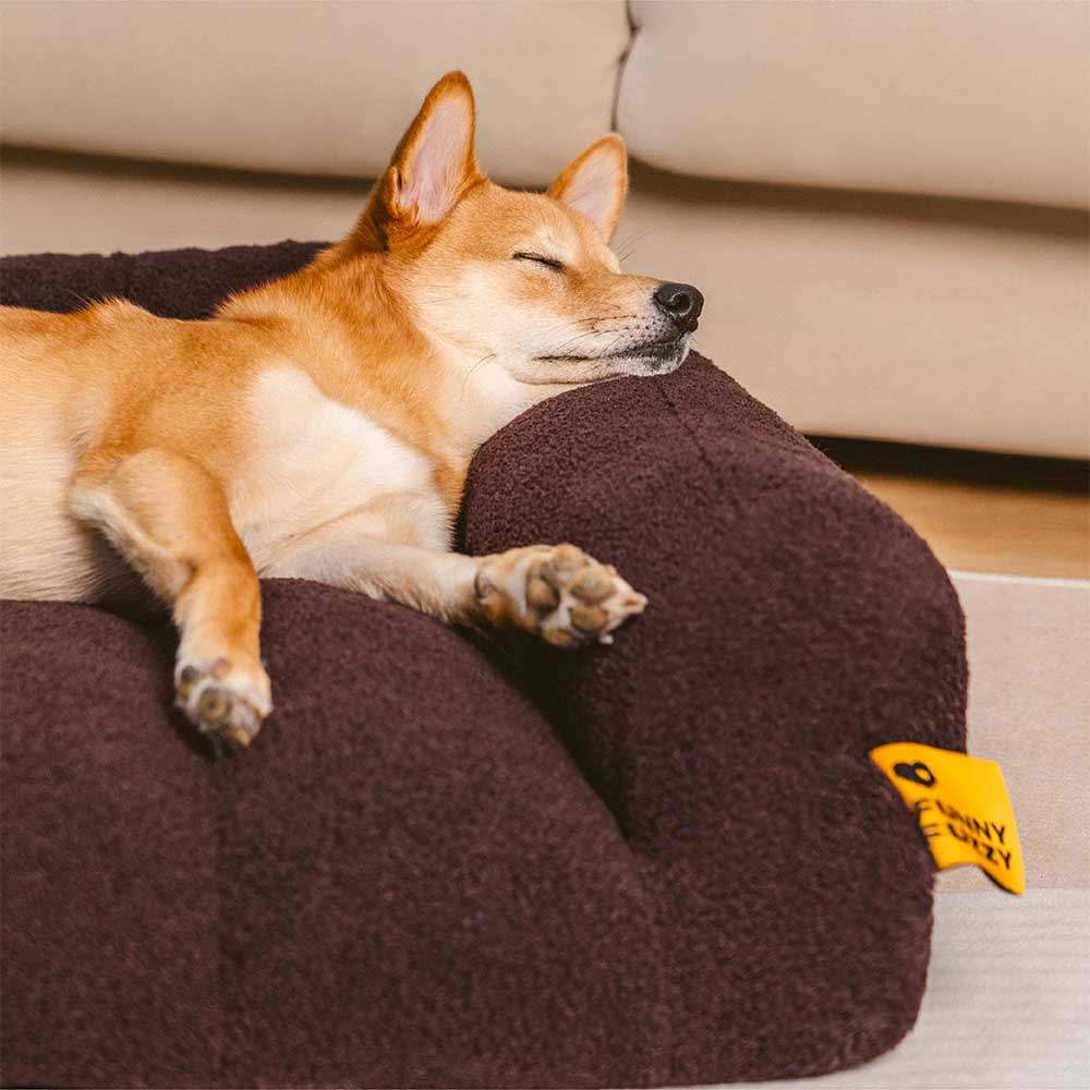 CloudNest Plush Bolster Dog Bed